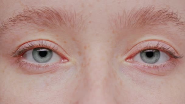 Közeli gyönyörű kék szem — Stock videók
