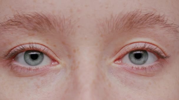 Wirydarz-do góry piękny niebieski oko — Wideo stockowe