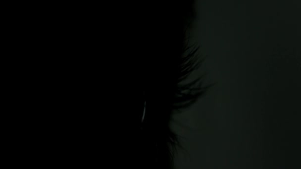 Close-up Frumos ochi albaștri — Videoclip de stoc