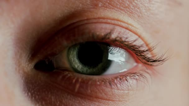 Close-up Beautiful Blue Eye — Stock Video