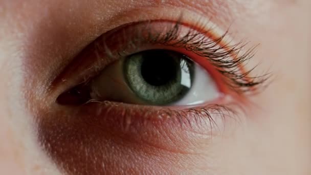 Közeli gyönyörű kék szem — Stock videók