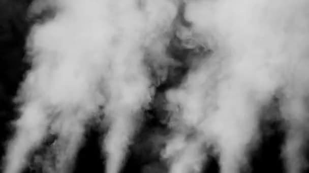 黑色背景上的白烟 — 图库视频影像