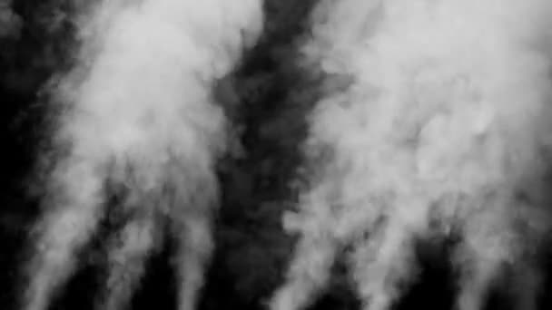 Fumo bianco su sfondo nero — Video Stock