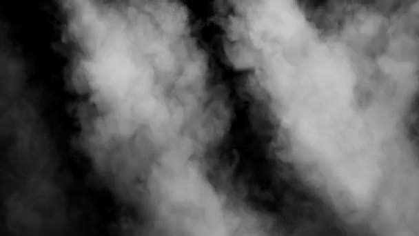 蒸気の煙の白い雲は 黒の背景に分離されます ガス爆発 空間に舞います 使用できる魔法の霧塵テクスチャ効果オーバーレイ 透明度を変更します — ストック動画