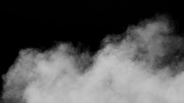 Vit rök på svart bakgrund — Stockvideo