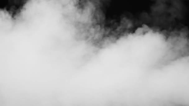 White Smoke on Black Background — Stock Video