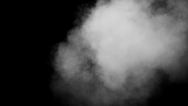 White Smoke on Black Background — Stock Video