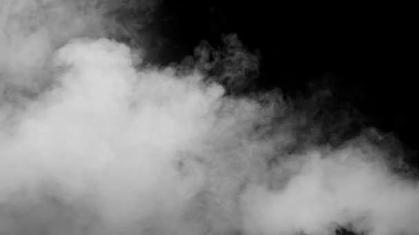 Białe Chmury Dymu Pary Białym Czarnym Tle Gaz Wybuchnie Obracać — Wideo stockowe