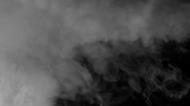 黑色背景上的白烟 — 图库视频影像
