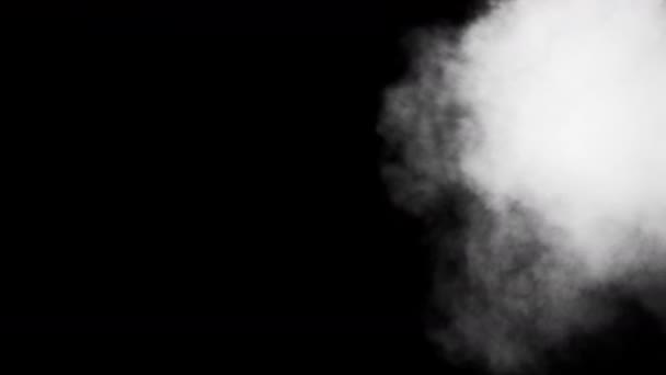 Natürlichen Organischen Rauch Nebel Rauchigen Dampf Dampf Übergang Ist Ein — Stockvideo