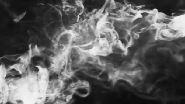 Transición de vapor de vapor de humo niebla — Vídeos de Stock
