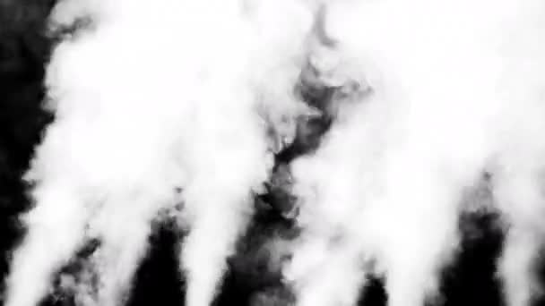 Witte rook op zwarte achtergrond — Stockvideo