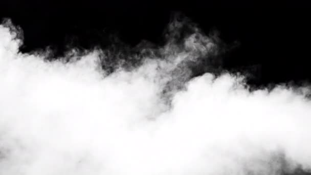 黒を背景に白い煙 — ストック動画