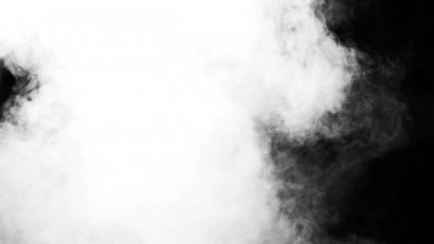 White Smoke on Black Background — Stock Video