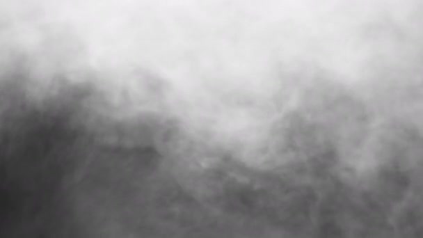 Humo blanco sobre fondo negro — Vídeo de stock