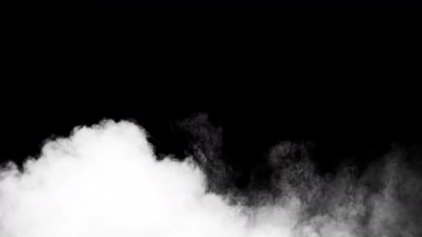 Hvid røg på sort baggrund – Stock-video