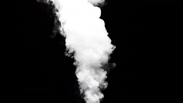 Humo blanco sobre fondo negro — Vídeo de stock