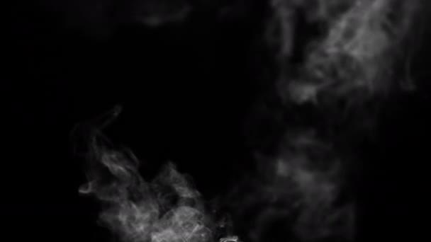 White Smoke on Black Background — Stock Video