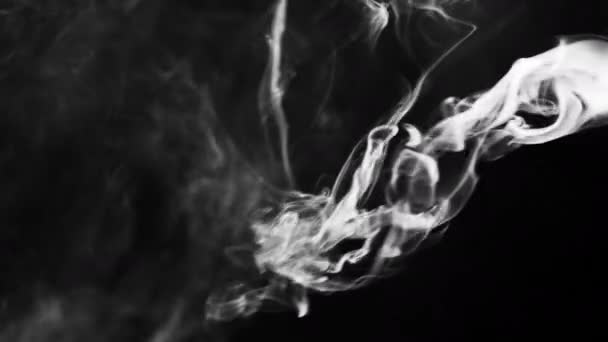 White Smoke on Black Background — Stock Video