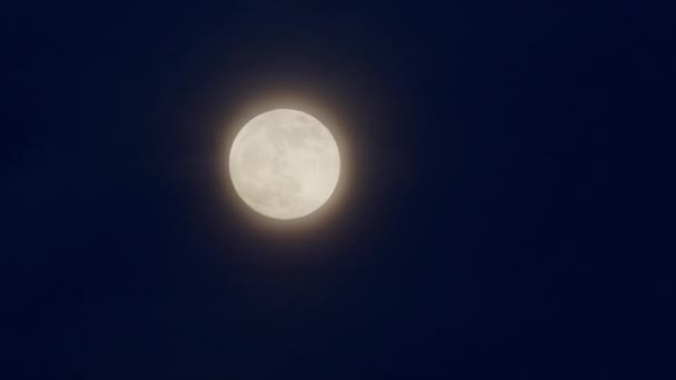 Luna llena por la noche — Vídeo de stock