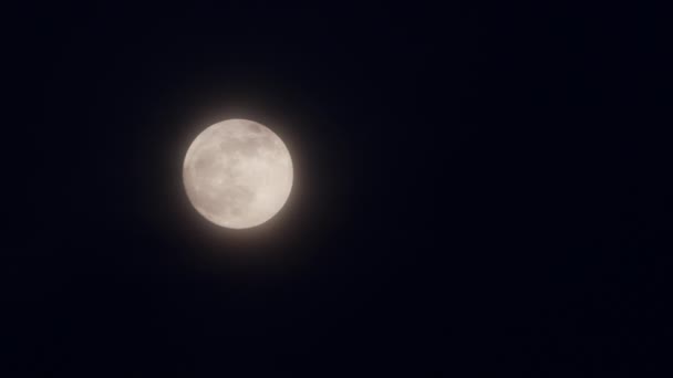 Luna plină pe timp de noapte — Videoclip de stoc