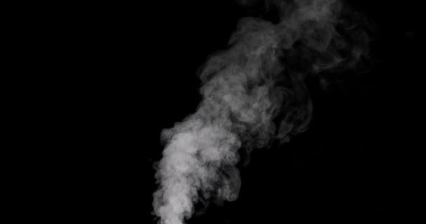 Huella de humo blanca aislada sobre fondo negro — Vídeos de Stock