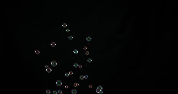 Soep bubbels geïsoleerd op zwarte achtergrond. — Stockvideo