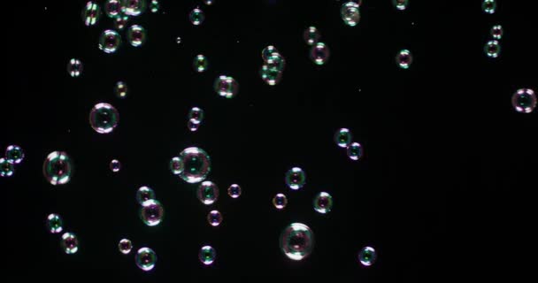 Burbujas de sopa aisladas sobre fondo negro . — Vídeo de stock