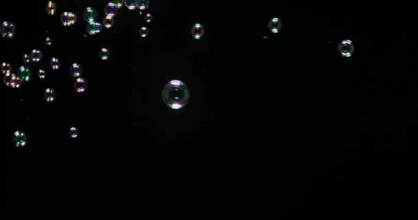 bulles de soupe isolées sur fond noir .