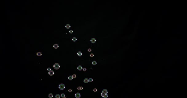Burbujas de sopa aisladas sobre fondo negro . — Vídeos de Stock