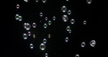 siyah arka plan üzerine izole çorba kabarcıklar.