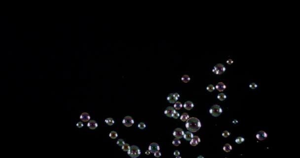 Soppa bubblor isolerad på svart bakgrund. — Stockvideo