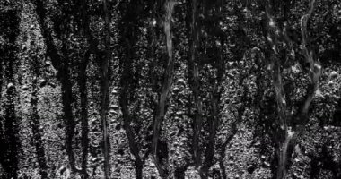 Pencereye yağmur yağıyor