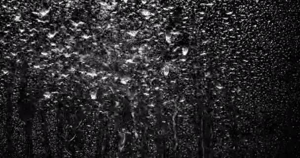 Regen am Fenster — Stockvideo