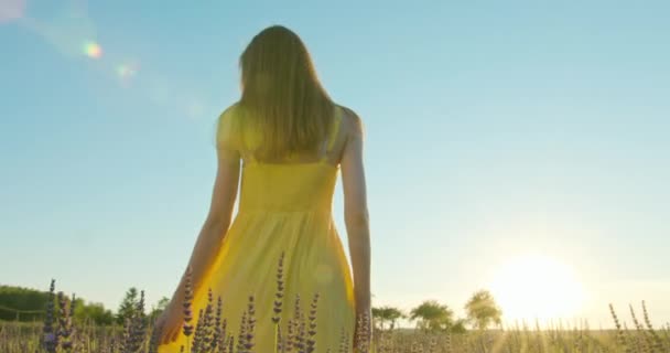 Young Lady in the Fielf of Blue Flowers — Stock Video