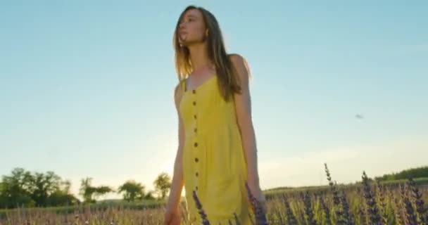 Young Lady in the Fielf of Blue Flowers — Stock Video