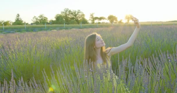 Lady tomando selfie en el campo — Vídeos de Stock