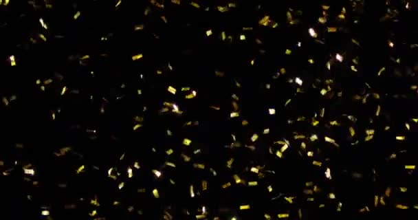 Confetti geïsoleerd op zwarte achtergrond — Stockvideo