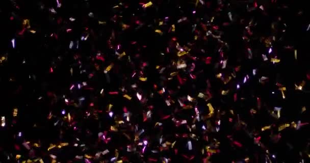 Confettis isolés sur fond noir — Video