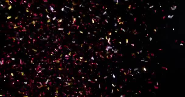 Confetti geïsoleerd op zwarte achtergrond — Stockvideo