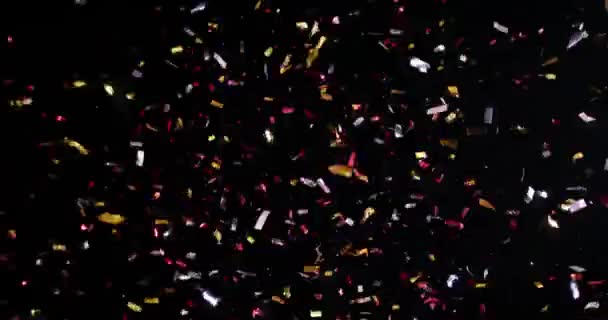 Confetti Isolated on Black Background — Stock Video