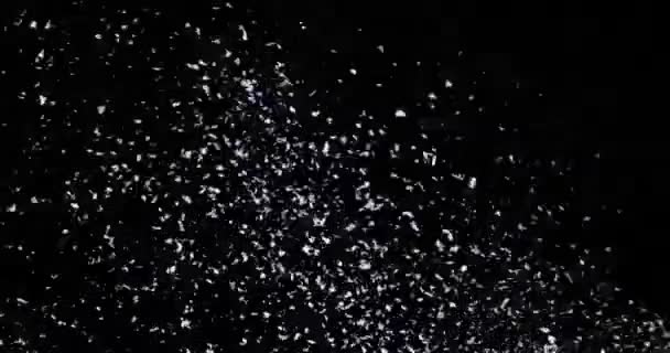 Nieve cayendo sobre el fondo negro — Vídeos de Stock