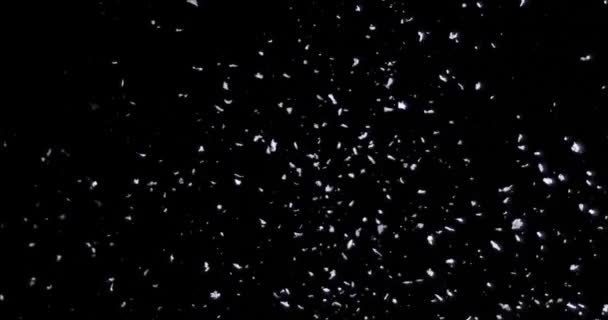 Nieve cayendo sobre el fondo negro — Vídeo de stock