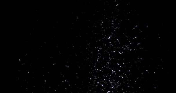 落雪的黑色背景 — 图库视频影像