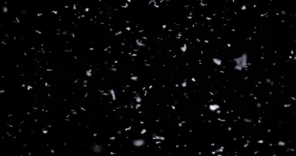 Fallande snö ner på den svarta bakgrunden — Stockvideo