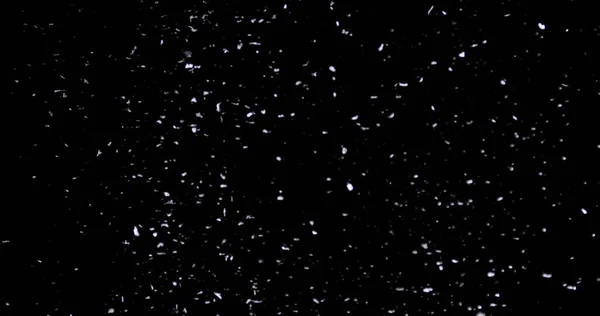 Fallande snö ner på den svarta bakgrunden — Stockfoto