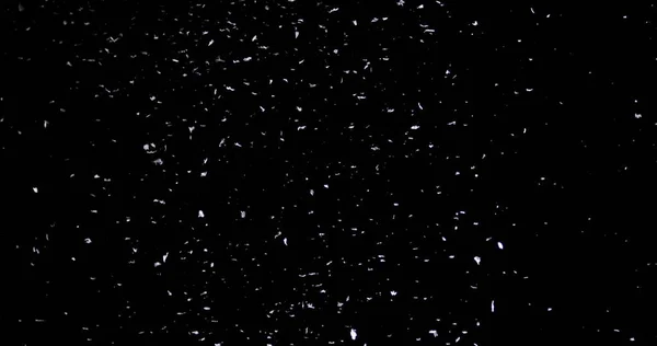 Falling Snow down On The Black Background — Stock Photo, Image
