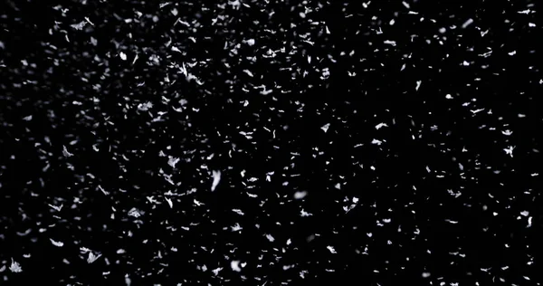 Spadający śnieg w dół na czarnym tle — Zdjęcie stockowe