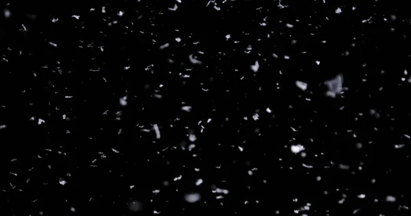 Chute de neige sur le fond noir — Photo