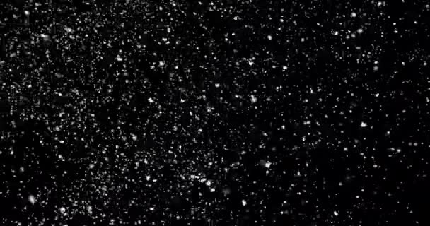 Glitter nevada sobre fondo negro — Vídeos de Stock